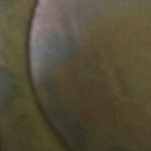 Meet your Posher, Leigh